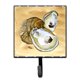 thumbnail image 1 of "Caroline's Treasures 8160SH4 Soporte para correa o gancho para llaves Oyster, pequeño, multicolor" Caroline's Treasures 8160SH4, 1 of 1