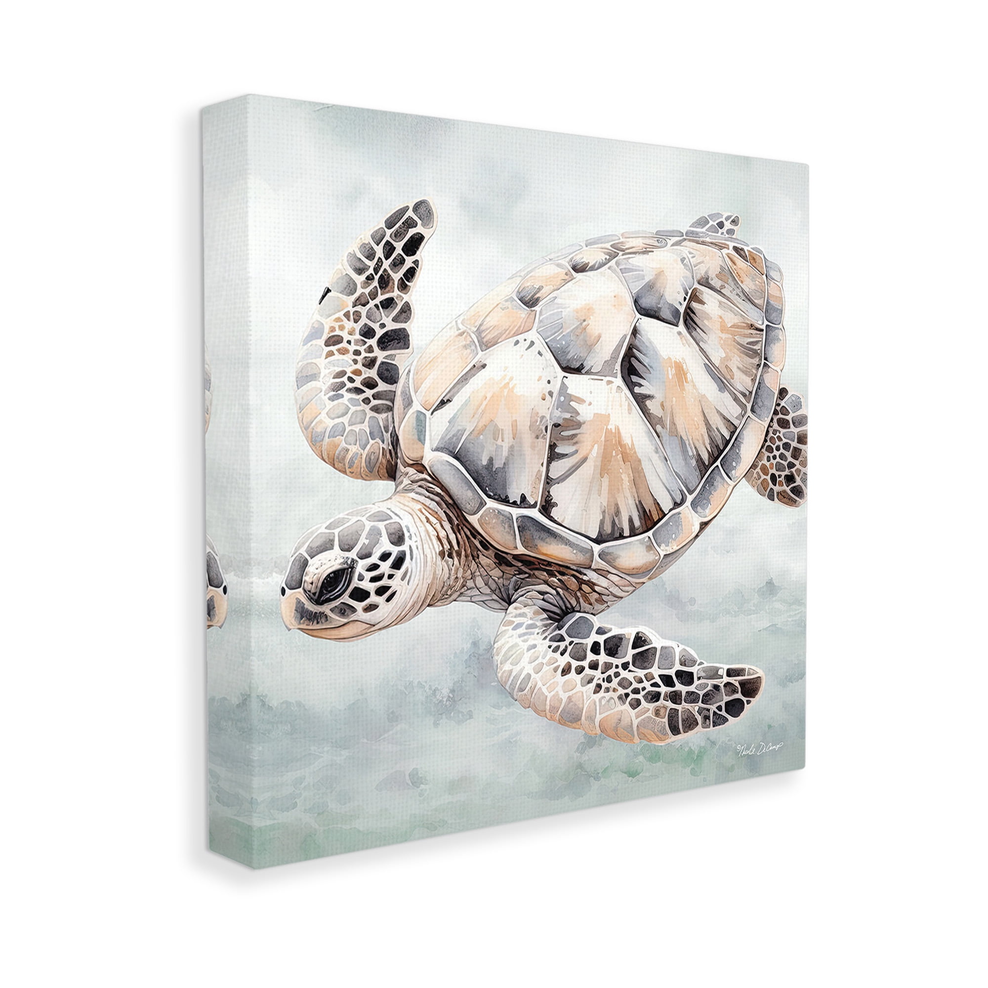 Stupell Industries Detailed Sea Turtle Animals & Insects Painting Gallery Wrapped Canvas Art Print Wall Art, 36 x 36