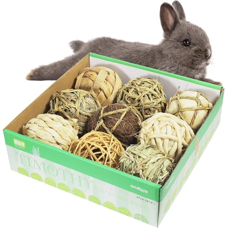 Small Animals Play Balls Rolling Chew Toys & Gnawing Treats for Rabbits Guinea Pigs Chinchilla Bunny Degus - Pet Cage Entertainment Accessories (Pack of 9)