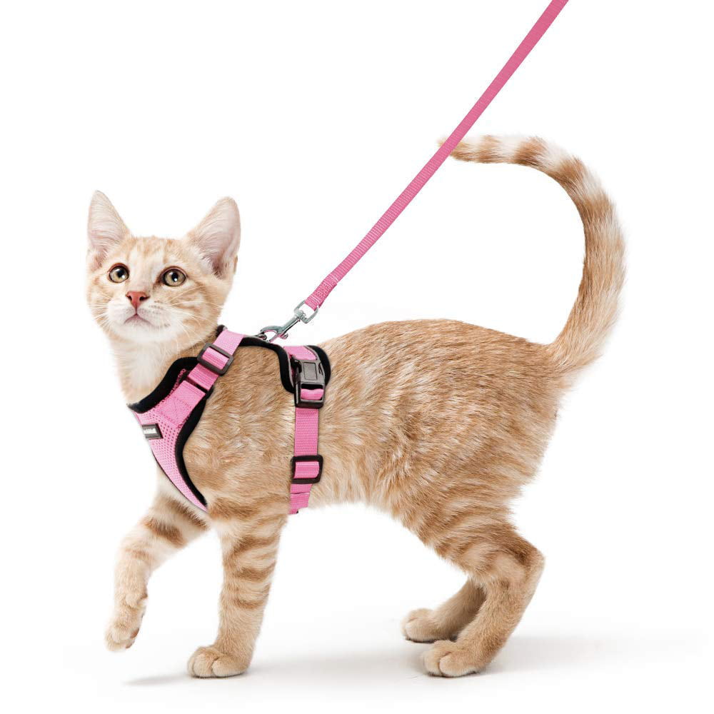 Cat Harness with Leash Set Escape Proof Cat Harness Padded Vest Adjustable Cat Chest Strap with Strong D-Ring Great for Walking XS-Red