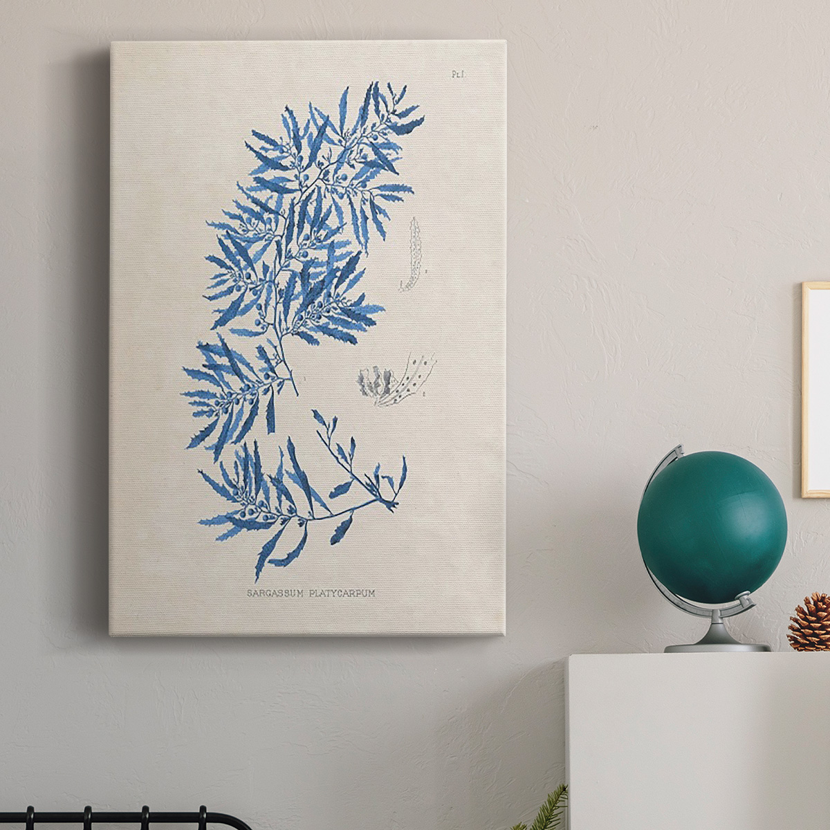 Blue Marine Algae III Premium Gallery Wrapped Canvas - Ready to Hang