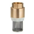 thumbnail image 3 of Chendee Copper Water Pump Inlet Pipe Filter Thread Filter Vertical Check Valve,Dn25, 3 of 9
