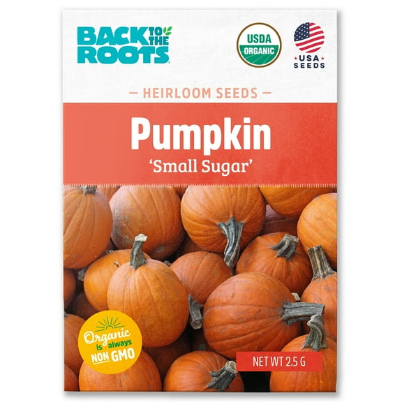 Back to the Roots Organic Pumpkin 'Small Sugar', 1 Seed packet