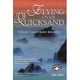 thumbnail image 1 of Flying Over Quicksand Ediciones Selectas Diamante 9789687277455, 1 of 2