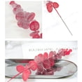 thumbnail image 2 of Tall Artificial Eucalyptus Stems Faux Eucalyptus Branches Greenery Plants 20pcs, 2 of 4