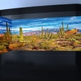 thumbnail image 3 of 24X12IN Reptile Habitat Background Rock Blue Sky Oasis Cactus Desert Terrarium Background with 10 Eva Double Sided Tape with 8 EVA Double-Sided Tape, 3 of 5