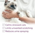 thumbnail image 3 of Comfort Zone Cat Calming Diffuser Refill, 48 ml-2 Pack, 60 Day Use 2 Pack, 3 of 10