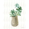 thumbnail image 2 of Nai, Danhui 12x14 White Modern Wood Framed Museum Art Print Titled - Desert Greenhouse X Subtle, 2 of 4