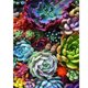 thumbnail image 1 of Taladro cuadrado completo 5D, imagen de dibujo, planta carnosa, pintura de diamante, adorno para habitación Tmvgtek Arte deco, 1 of 9