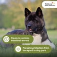 thumbnail image 3 of Trifexis Heartworm Prevention | Treats & Controls Flea Infestations + 4 Other Worms | Dogs 20.1-40 lbs., 3 of 19