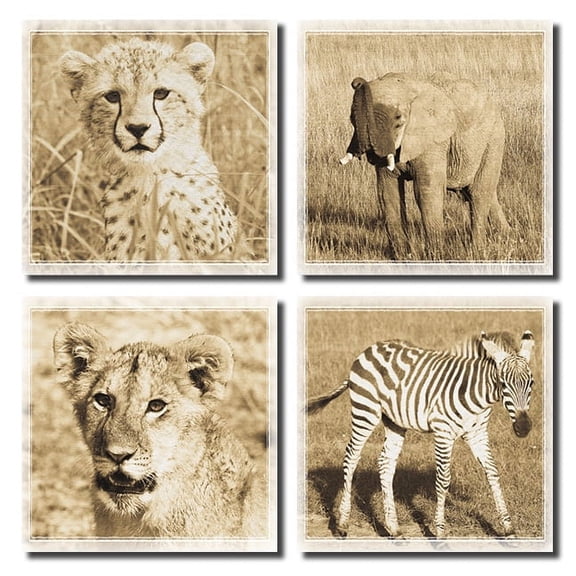 4 Baby African Safari Animals Prints Elephant Cheetah Lion Zebra Photographs Sepia Art Posters 12x12