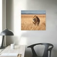 thumbnail image 3 of Nawypu Lion Poster Canvas Prints Wall Art Animal Picture For Home Office Living room Bedroom Decorations, 3 of 4