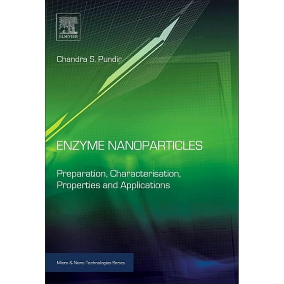 Micro and Nano Technologies Enzyme Nanoparticles: Preparation, Characterisation, Properties and Applications, (Paperback)