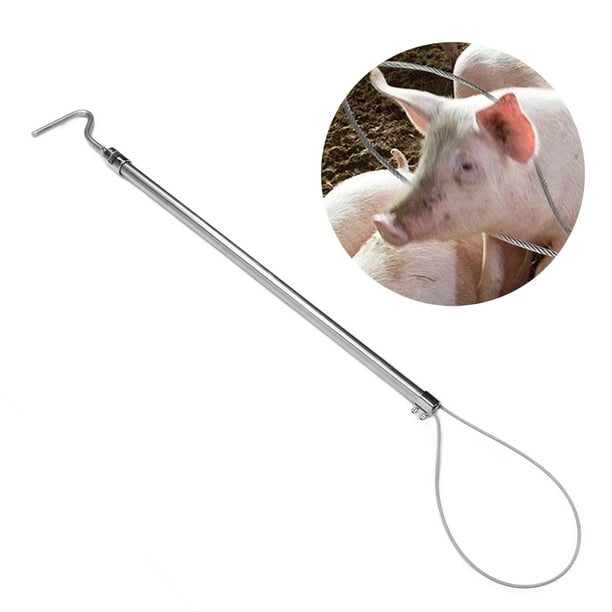 Soporte Para Cerdos, Cuerda De Alambre Gruesa Segura, Herramientas Ajustables Para Atrapar Postes De Control De Animales, Estirable Para Ganado