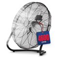 thumbnail image 1 of Ventilador de piso NEXAIR de 12" de alta velocidad, 3 velocidades, metálico, 1 of 7