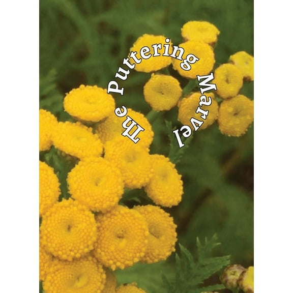 The Puttering Marvel, (Paperback)