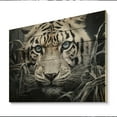 thumbnail image 2 of Designart "Mysterious Cat s Gaze II" Animals Print on Natural Pine Wood, 2 of 5