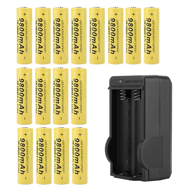 16 baterías recargables de larga duración 9800 mAh con cargador enchufe estadounidense (100-240 V)