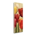 thumbnail image 2 of Tangletown Fine Art 'Tulip Fantasy on Cream III' Print on Wrapped Canvas, 2 of 2