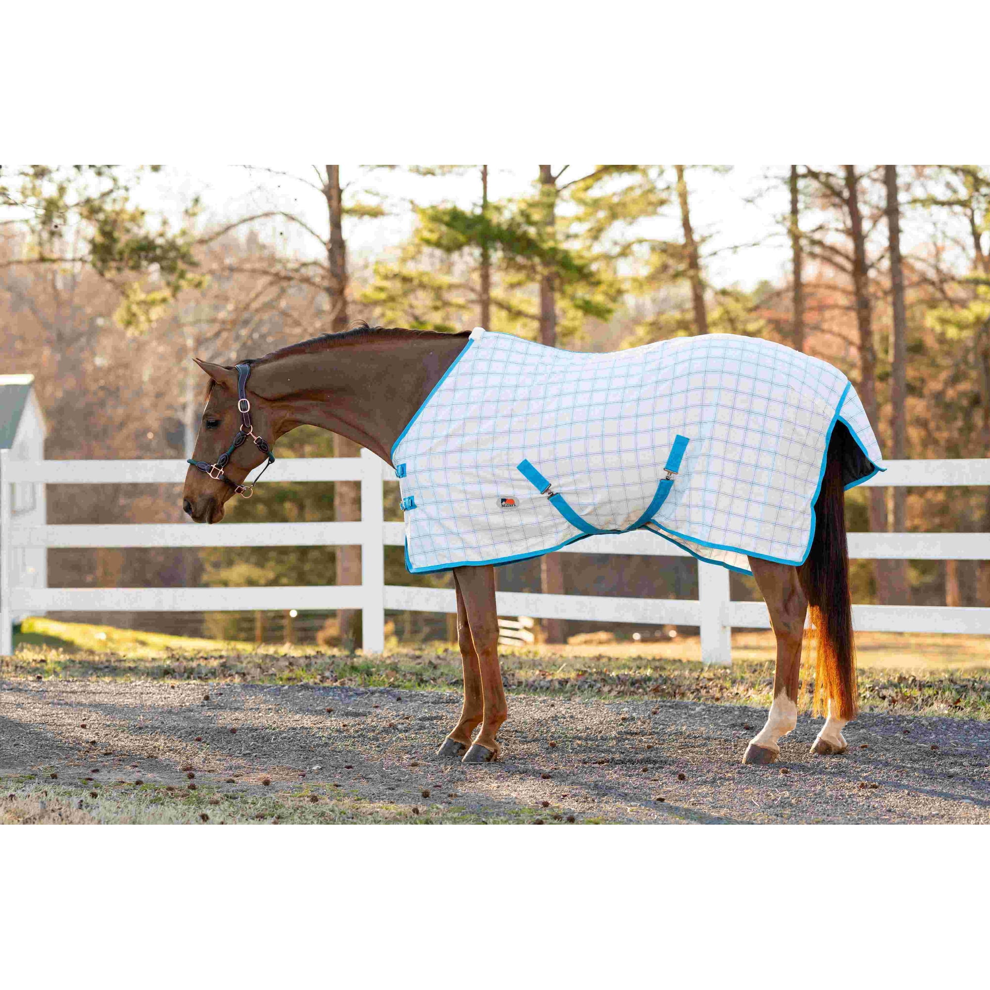 Miller's Aussie Light Weight Turnout Sheet-White/Turquoise-69