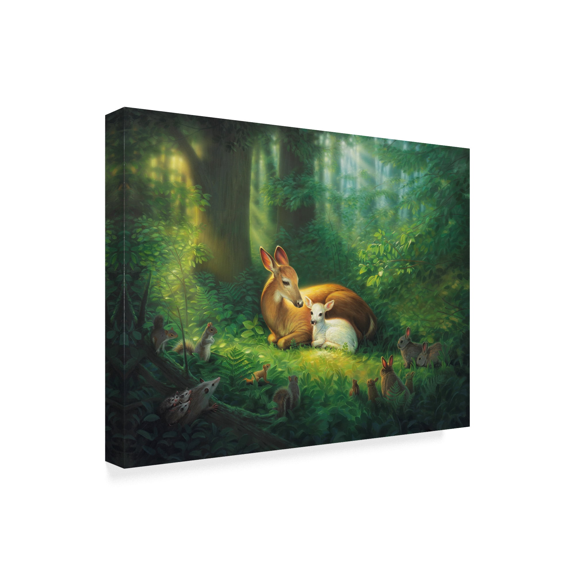 Trademark Fine Art 'Precious' Canvas Art by Kirk Reinert