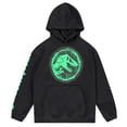 thumbnail image 4 of Jurassic Park Boys Pullover Hoodie, Dinosaur Graphic Fleece Sweatshirt, Black, Sizes 420, 4 of 9