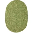 thumbnail image 1 of Rhody Rug Sandi Braided Indoor-Outdoor Oval Rug, Bayleaf, 5 x 8 ft., Reversible, Stain Resistant, 1 of 3