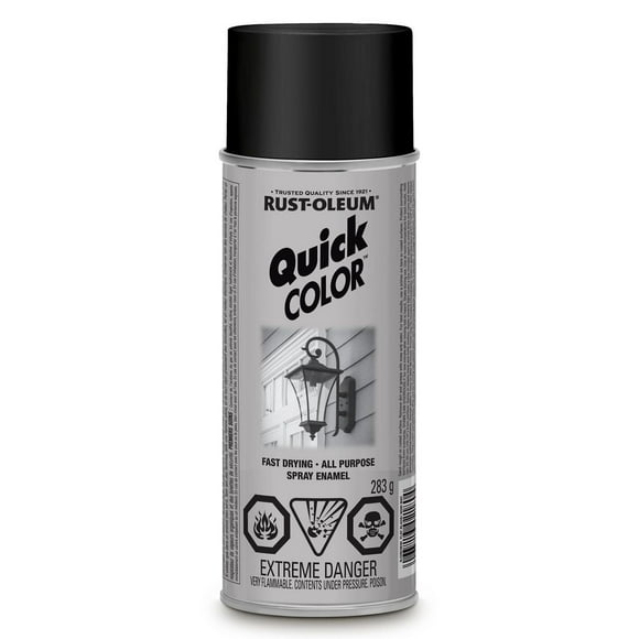 Rust-Oleum Specialty Flat Black Quick Color Spray