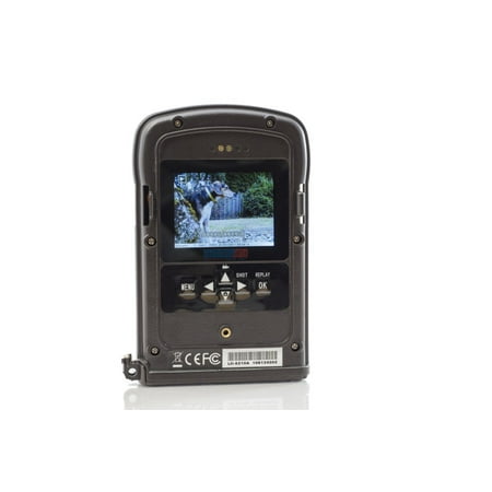 High Sensitivity B/w Camera - Video Camera Woods Farmland Backwoods Outback Cam Sensitivity Mode