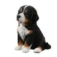 thumbnail image 3 of Hi-Line Gifts Sitting Bernese Mountain Puppy Outdoor Garden Statue - 12.5", 3 of 5