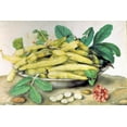 thumbnail image 2 of Garzoni, Giovanna 14x11 Black Ornate Wood Framed with Double Matting Museum Art Print Titled - Dish of Broad Beans, 2 of 4