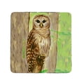 thumbnail image 1 of Betsy Drake CT240 Dessous de Verre Hibou - Ensemble de 4, 1 of 1