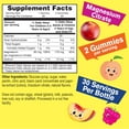 thumbnail image 4 of WellYeah Magnesium Citrate Gummies for Kids (2 Pack) - Chewable Stress Relief Supplement for Children - Natural Calm, Mood Support, Non-GMO, Gluten Free - Natural Fruit Flavors - 60 Gummies, 4 of 5