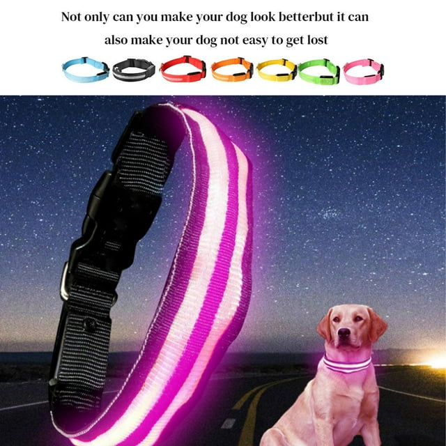 Collier Lumineux Rechargeable USB pour Animaux de Compagnie Collier Lumineux LED avec Sangle, Rouge, S