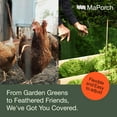 thumbnail image 4 of Green Plastic Wire Mesh Fencing, 15.7" x 10' Roll - Great for Poultry, Dog, Rabbit, Snake Barriers & Gardening - Durable Plastic Chicken Wire - Versatile Plastic Fencing & Mesh Solution, 4 of 4
