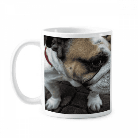 

Bulldog Pet Animal Photography Pictures Mug Pottery Cerac Coffee Porcelain Cup Tableware
