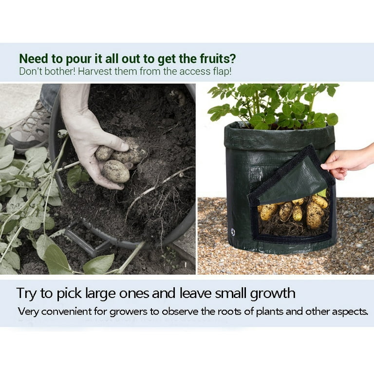 How To Grow Potatoes In Bags