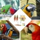 thumbnail image 2 of KAKOWELY 8 piezas de juguetes masticables coloridos para loros, juguetes para morder loros, kit de juguetes colgantes para jaula de pájaros, 2 of 4