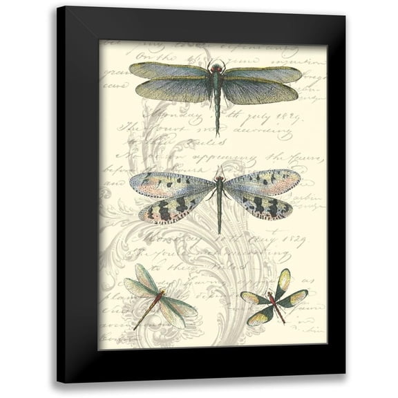 Vision Studio 12x14 Black Modern Framed Museum Art Print Titled - Dragonfly Delight II