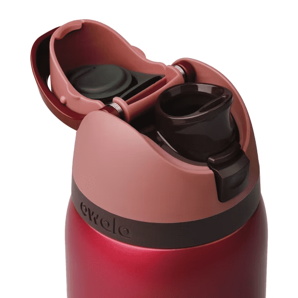 Owala FreeSip Insulated Stainless Steel Water Bottle Sports and Travel, Water Bottle, 32 oz, Poinsettia