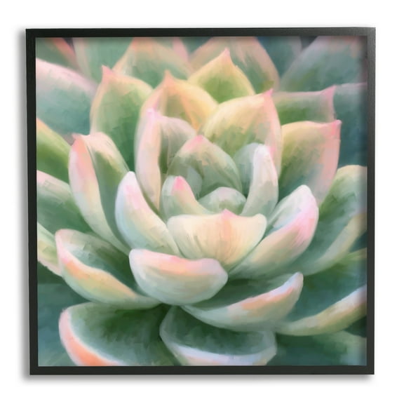 Stupell Industries Green Succulent Petals Botanical & Floral Painting Black Framed Art Print Wall Art, 12 x 12