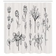 thumbnail image 2 of Sketch Shower Curtain, Randomly Scattered Various Plantation Vintage Hand Drawn Illustration, Fabric Bathroom Set with Hooks, 69W X 75L Inches Long, Charcoal Grey Eggshell, by Ambesonne, 2 of 2