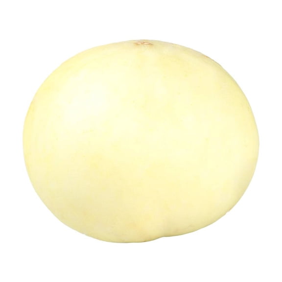 Melón valenciano por kilo