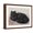 Brown Frame, variant on Art.com Black Persian Cat Art Print, 16" x 12"