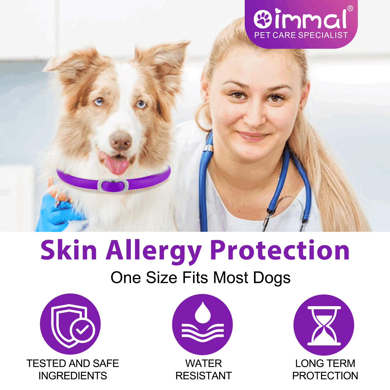 Oimmal Collar for Dog and Puppy, 24 Months Protection, 19inch Adjustable, Waterproof, Natural Ingredients, 4 Collars - Pink & Purple