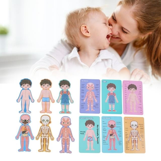 Juguete rompecabezas de estructura corporal, juguete rompecabezas de madera del cuerpo humano para niños, juguete cognitivo de estructura corporal, funcionalidad versátil