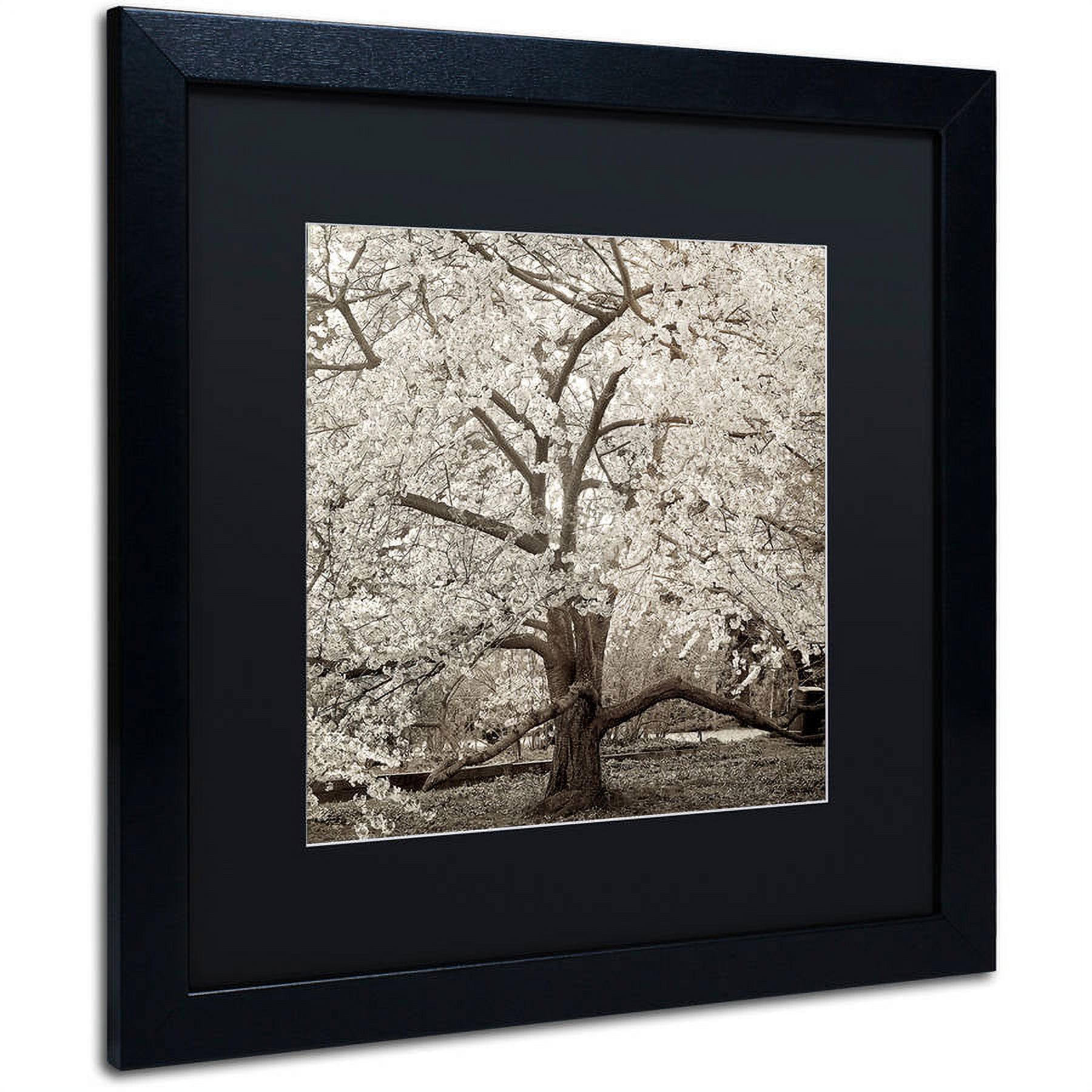 Trademark Fine Art "Hampton Magnolia II" Canvas Art by Alan Blaustein, Black Matte, Black Frame