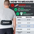 thumbnail image 3 of Synergee Weightlifting Belt 5” Padded Support for Squats Deadlifts Powerlifting & Cross Training - Large, 3 of 6