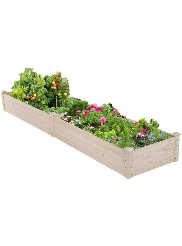 Planter Boxes in Outdoor Planters