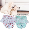 thumbnail image 2 of Pet Sanitary Pants - Lace Washable - Strawberry/Flower Pattern - Polyester Female Dogs Short Diapers - Physiological Pants - Pet Supplies, 2 of 8